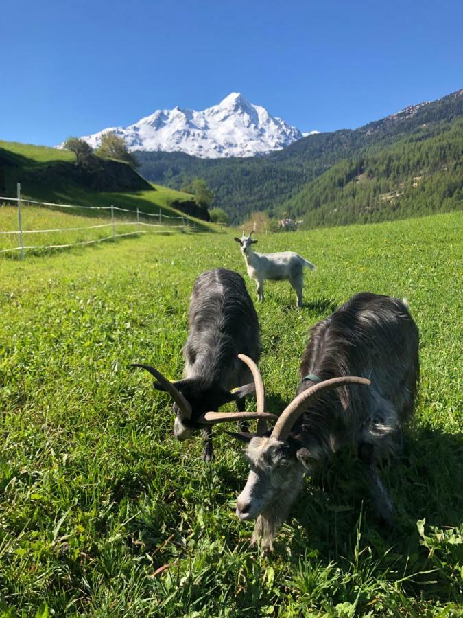 Granbichlhof Apartman Sölden Kültér fotó