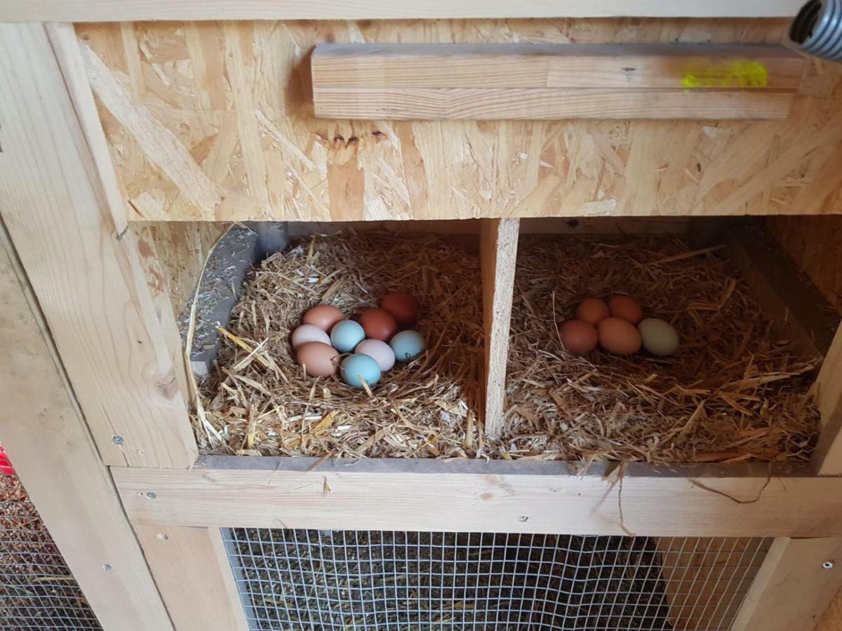 Granbichlhof Apartman Sölden Kültér fotó